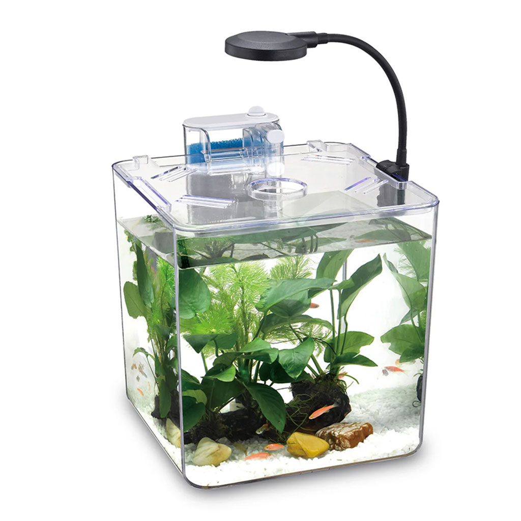 Kit mini aquarium nanbor avec système de filtrage et lampe led – حوض أسماك مع مصباح