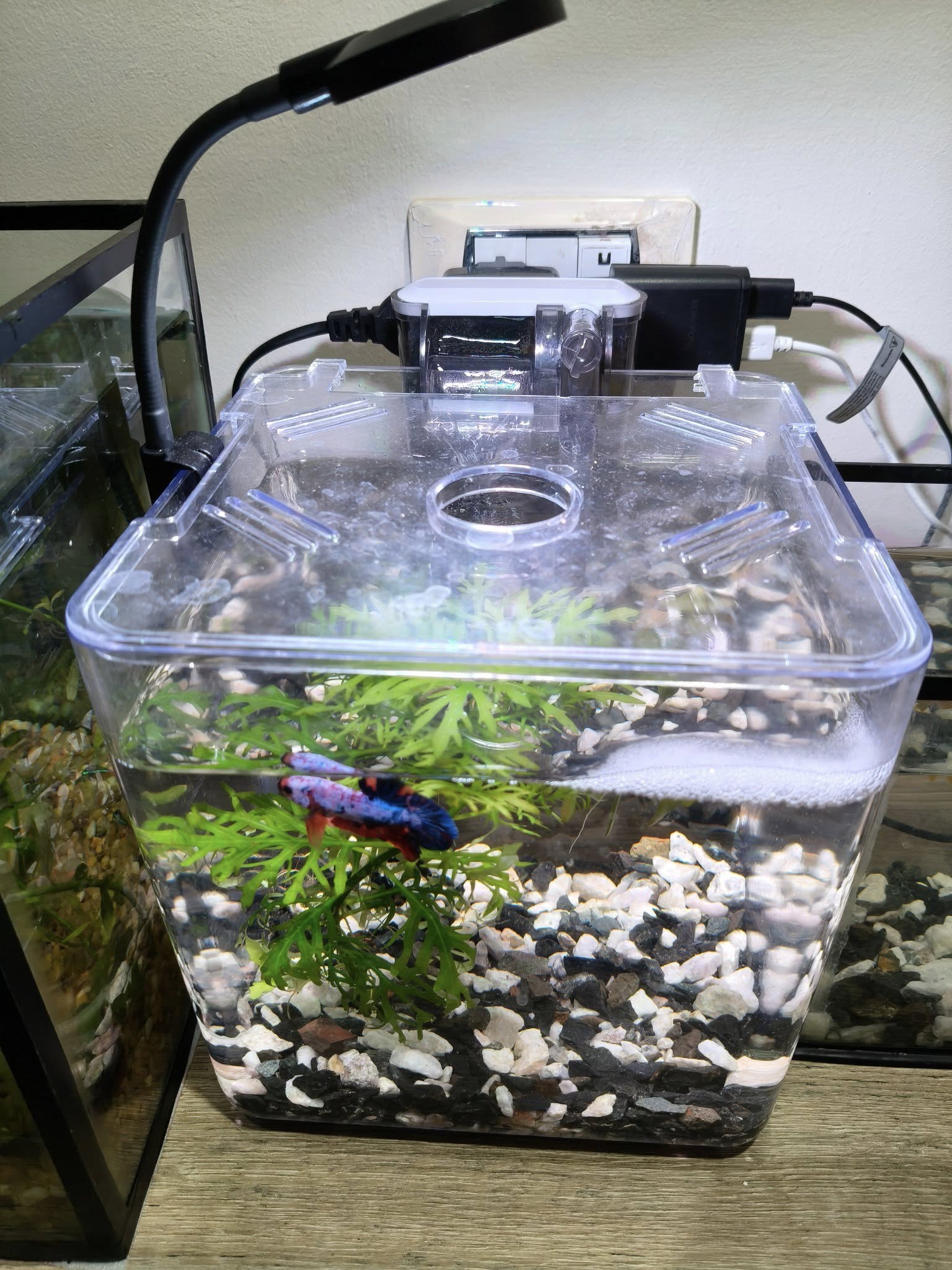 Kit mini aquarium nanbor avec système de filtrage et lampe led – حوض أسماك مع مصباح